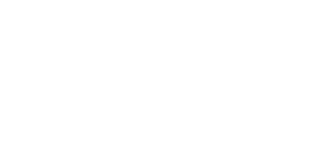 APE Animation Presta Event